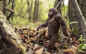 十万个为什么:人类的祖先起源于哪里?